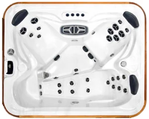 Arctic Spas Arctic Fox hot tub