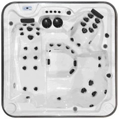 Arctic Spas Eagle hot tub