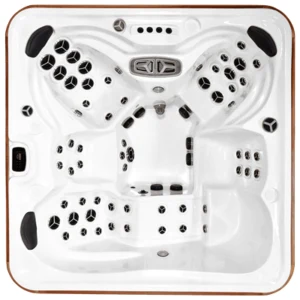 Arctic Spas Kodiak hot tub