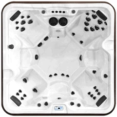 Arctic Spas McKinley hot tub