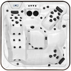 Arctic Spas Mustang hot tub
