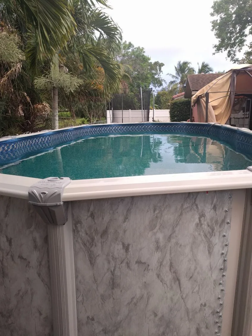 Oval aboveground pool with blue water surrounded by palms in a South Florida backyard